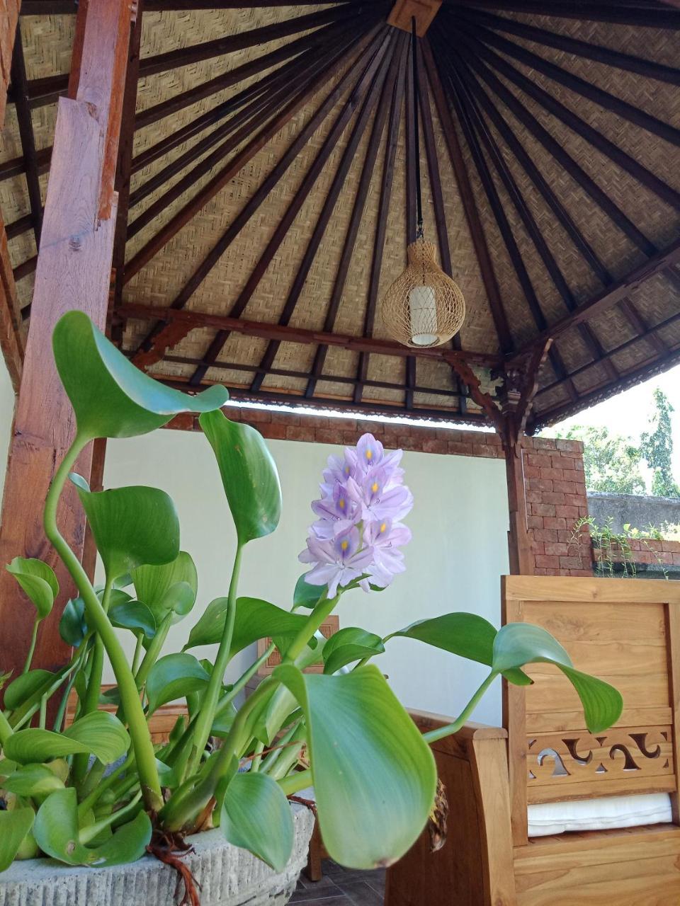 D'Puja Home Stay And Spa Nusa Dua  Exterior photo
